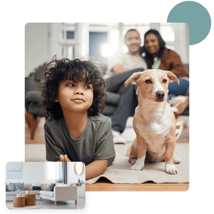 Family relaxing at home with their dog in clean indoor air
